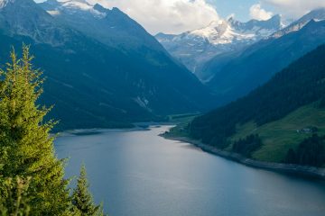 Nachhaltige Arbeitgeber in Österreich, die du kennen solltest!