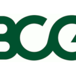 The Boston Consulting Group GmbH